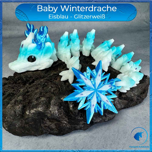 Ein Baby Winterdrache auf einem Stein zu sehen