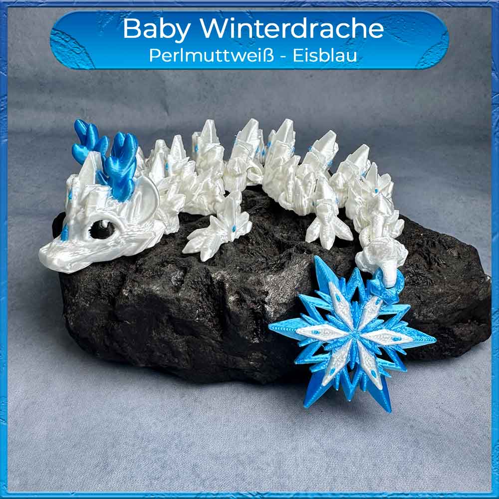 Ein Baby Winterdrache im Perlmutt Weiß zu Blau