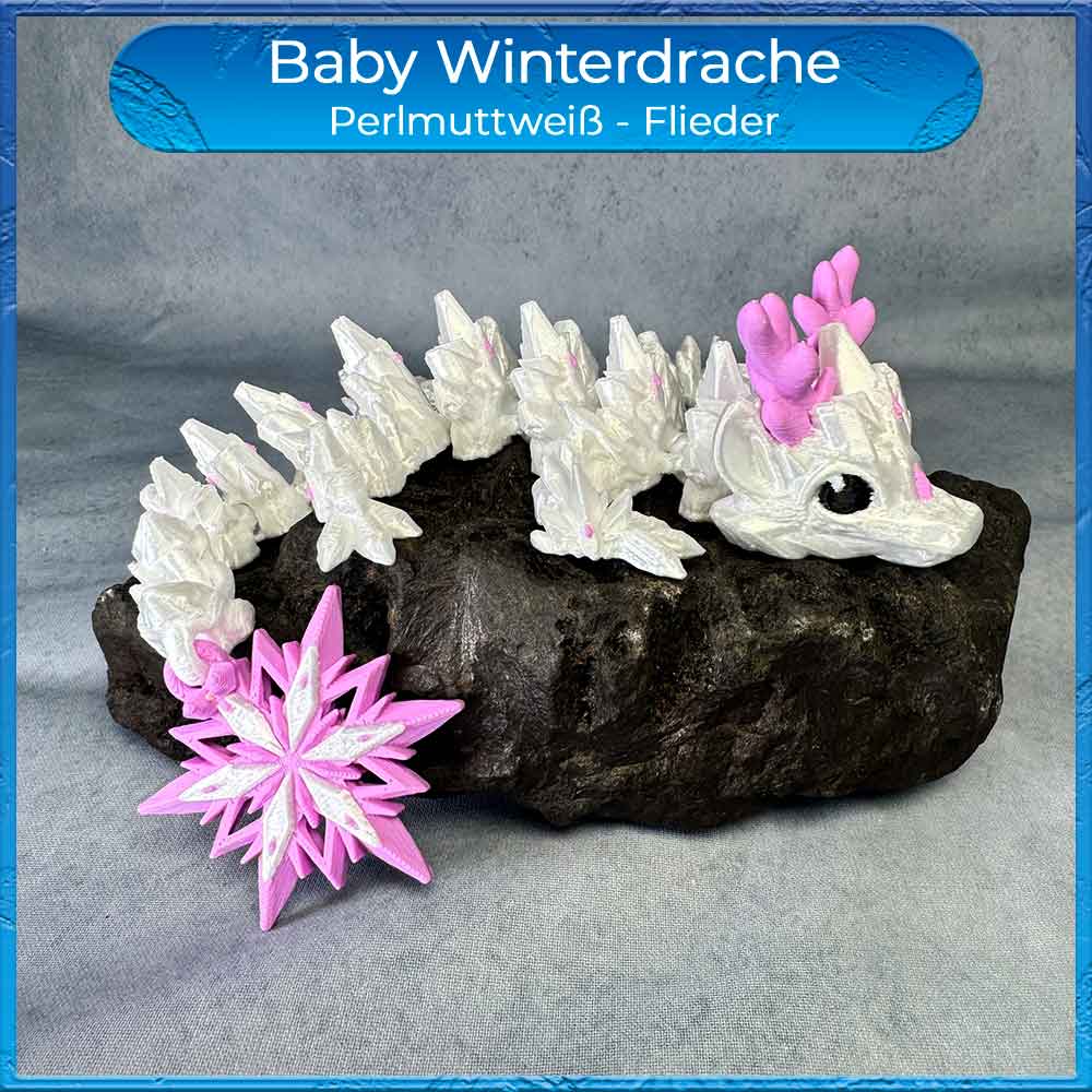 Baby Winterdrache - Perlmuttweiß/Flieder