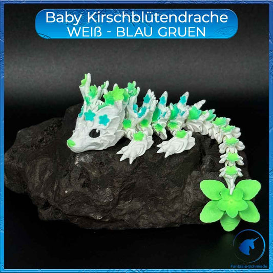 Kirschblütendrache Baby - Weiß - Blau Grün