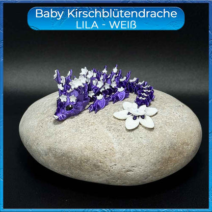 Kirschblütendrache Baby - Lila - Weiß