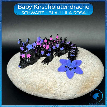 Kirschblütendrache Baby - Schwarz - Blau Lila Rosa