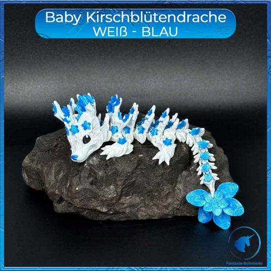 Kirschblütendrache Baby - Weiß - Blau