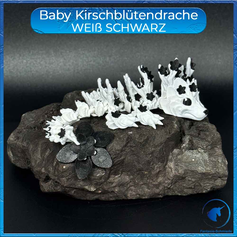 Kirschblütendrache Baby - Weiß - Schwarz