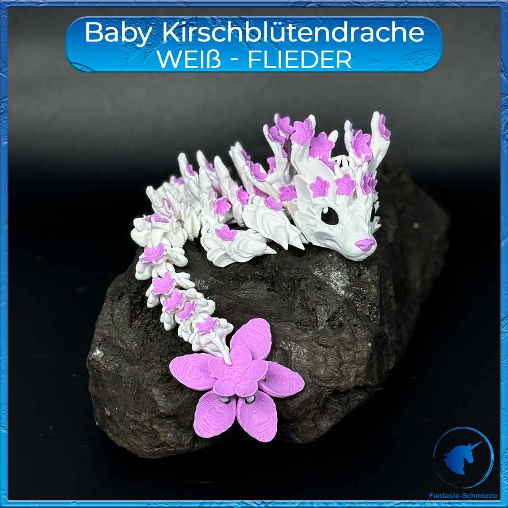 Kirschblütendrache Baby - Weiß - Flieder