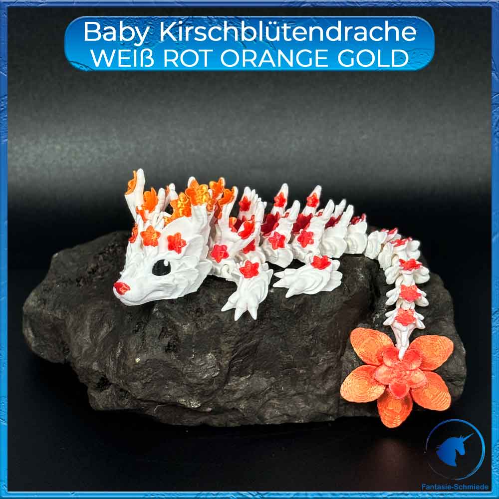 Kirschblütendrache Baby - Weiß - Rot Orange Gold