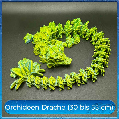 Orchideen Drache - optional im Drachenei