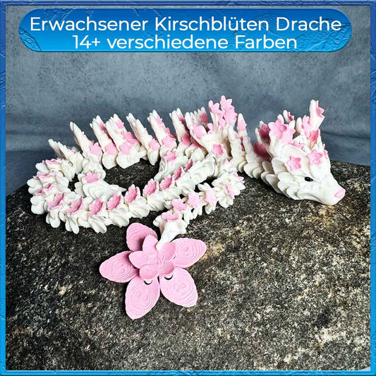 Kirschblüten Drache Erwachsen - optional im Drachenei